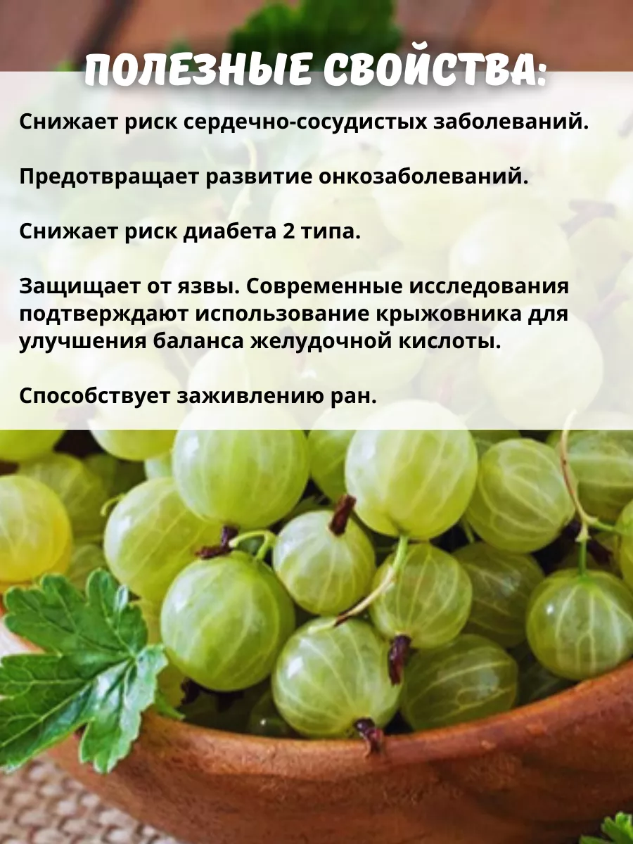 Саженцы Крыжовник ОНЛАЙН САД 204626574 купить в интернет-магазине  Wildberries