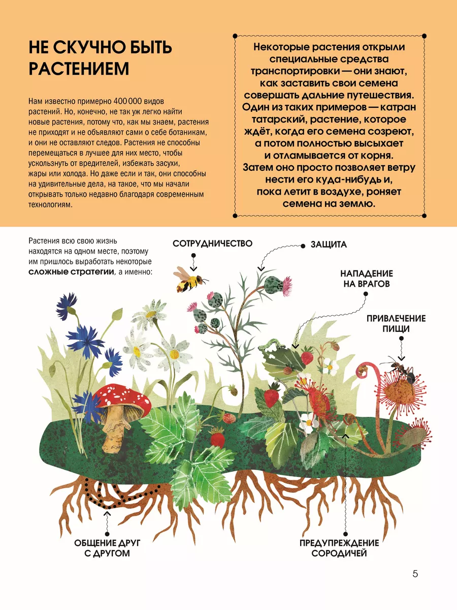 Эмоциональные качели: что это в отношениях, как работают