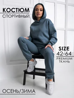 Спортивный костюм с начесом NIKITA TEREHOV TEXTILE 204717769 купить за 3 750 ₽ в интернет-магазине Wildberries