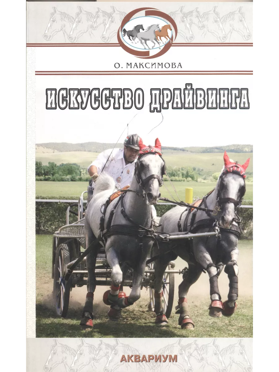 Искусство драйвинга