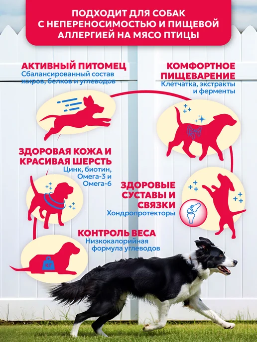 Сухой корм PET’S BRUNCH для собак, средние, 4 кг, фото 2