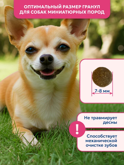 Сухой корм PET’S BRUNCH для собак, мелкие, индейка, 1 кг, фото 5
