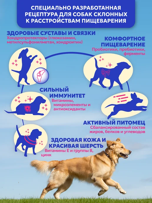 Сухой корм PET’S BRUNCH Склонных Расстройствам для собак, 4,05 кг, фото 2