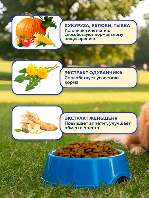Сухой корм PET’S BRUNCH Склонных Расстройствам для собак, 4,05 кг, фото 4