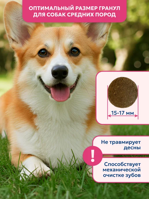 Сухой корм PET’S BRUNCH для собак, средние, индейка, 11 кг, фото 5