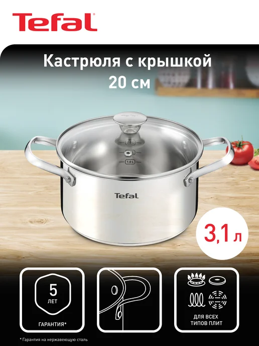 Tefal Кастрюля со стеклянной крышкой Cook Eat, 18 см, 2,2 л, 3,1 л