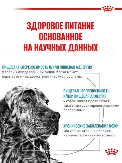 Сухой корм Royal canin Hypoallergenic Аллергией для собак, 1,5 кг, фото 4