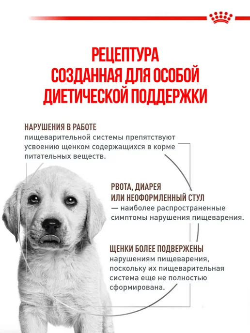 Сухой корм Royal canin Лечебный Gastrointestinal для собак, щенки, 1 кг, фото 2