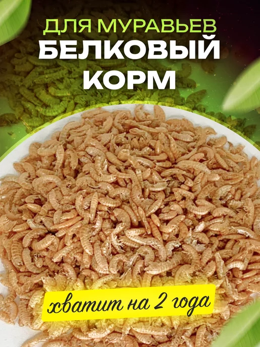 LUCKY ANT Белковый корм для муравьев, вариант