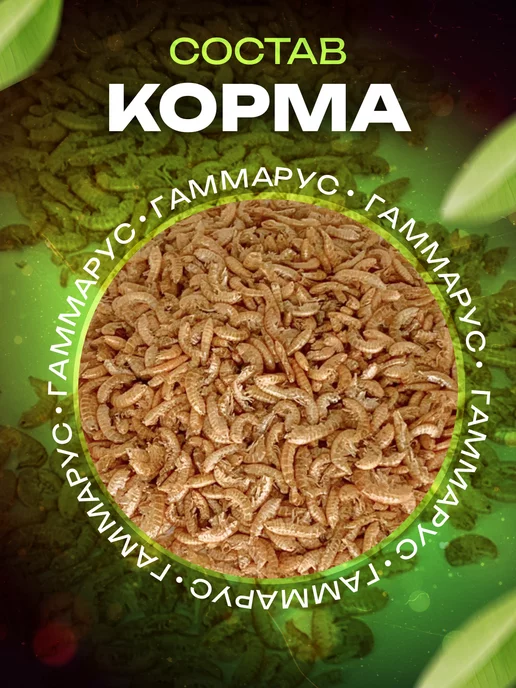 LUCKY ANT Белковый корм для муравьев, вариант, фото 2