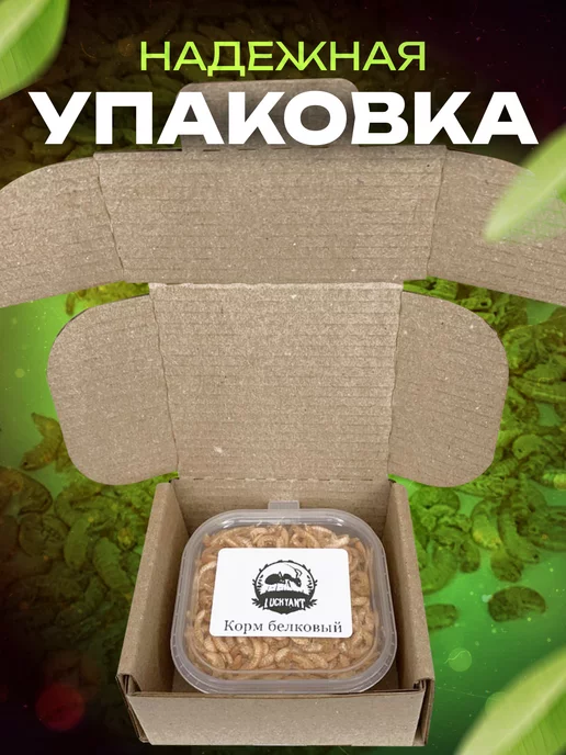 LUCKY ANT Белковый корм для муравьев, вариант, фото 3