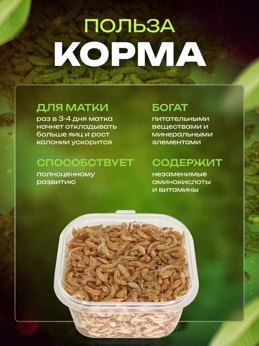 LUCKY ANT Белковый корм для муравьев, вариант, фото 5