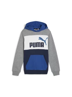 Толстовка ESS BLOCK Hoodie TR PUMA 205002284 купить за 2 689 ₽ в интернет-магазине Wildberries