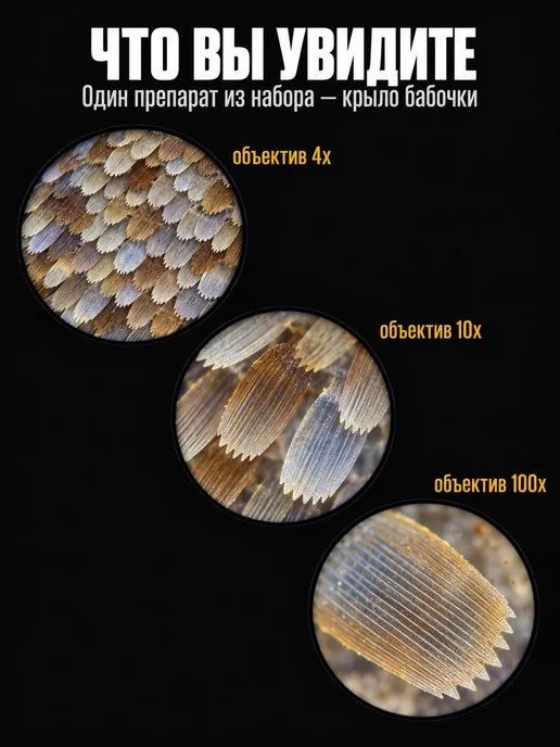 Zoom In! Микроскоп школьный профессиональный биологический 5000x, белый, фото 2