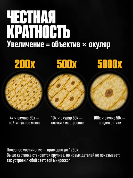 Zoom In! Микроскоп школьный профессиональный биологический 5000x, белый, фото 3