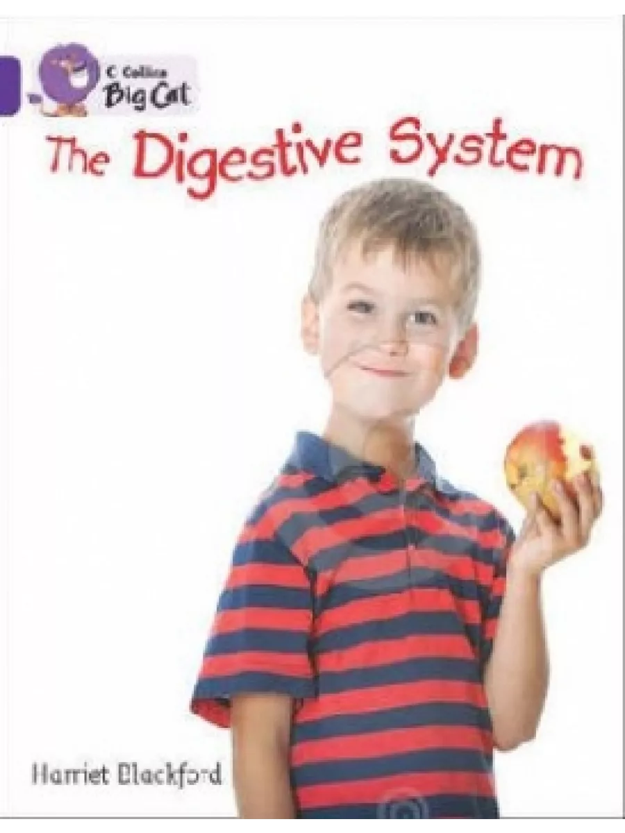 Digestive System