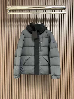 Пуховик Moncler 205094484 купить за 15 152 ₽ в интернет-магазине Wildberries