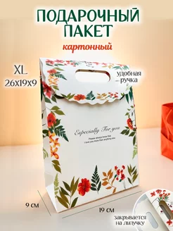 Подарочный пакет маленький Special Gift Pack 205414012 купить за 124 ₽ в интернет-магазине Wildberries