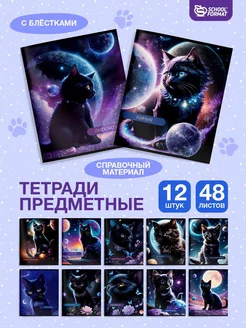 Предметные тетради 12 штук КОСМОКОТИК 48 листов школьные Schoolformat 205471549 купить за 611 ₽ в интернет-магазине Wildberries