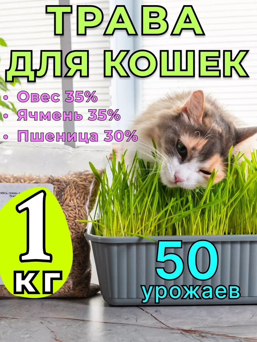 Трава для кошек 1 кг семена
