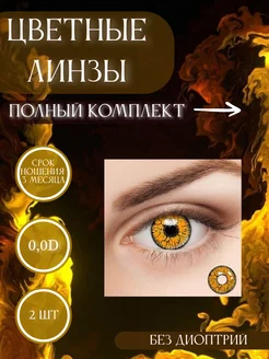 Цветные контактные линзы в наборе Miss bronze 205494316 купить за 270 ₽ в интернет-магазине Wildberries