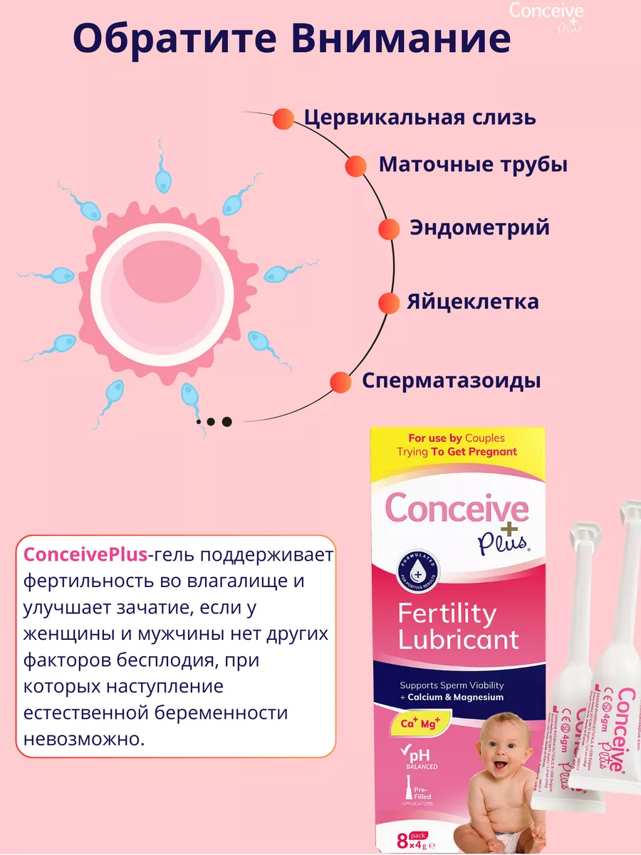 Enterococcus faecalis в сперме и проблемы с потенцией и либидо Лечение