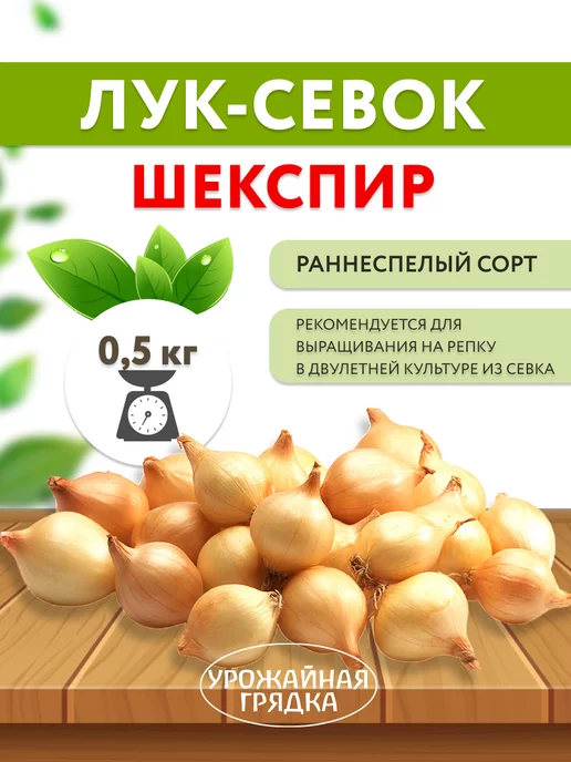 Лук севок озимый на посадку осенью Шекспир 500г, 500 г