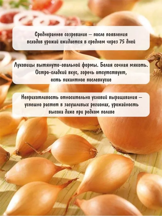 Лук севок озимый на посадку осенью Шекспир 500г, 500 г, фото 2