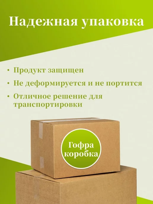 Лук севок озимый на посадку осенью Шекспир 500г, 500 г, фото 3