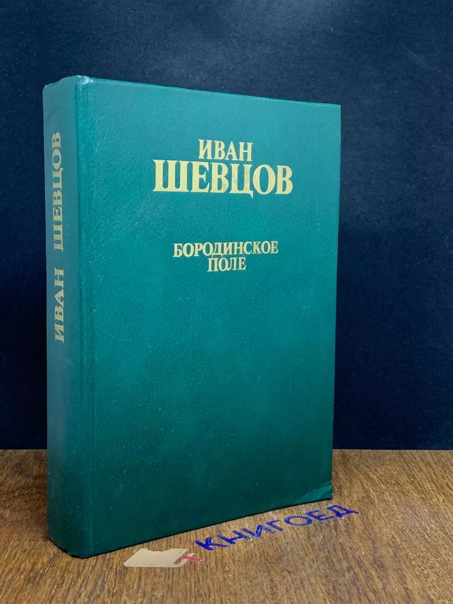 Бородинское поле