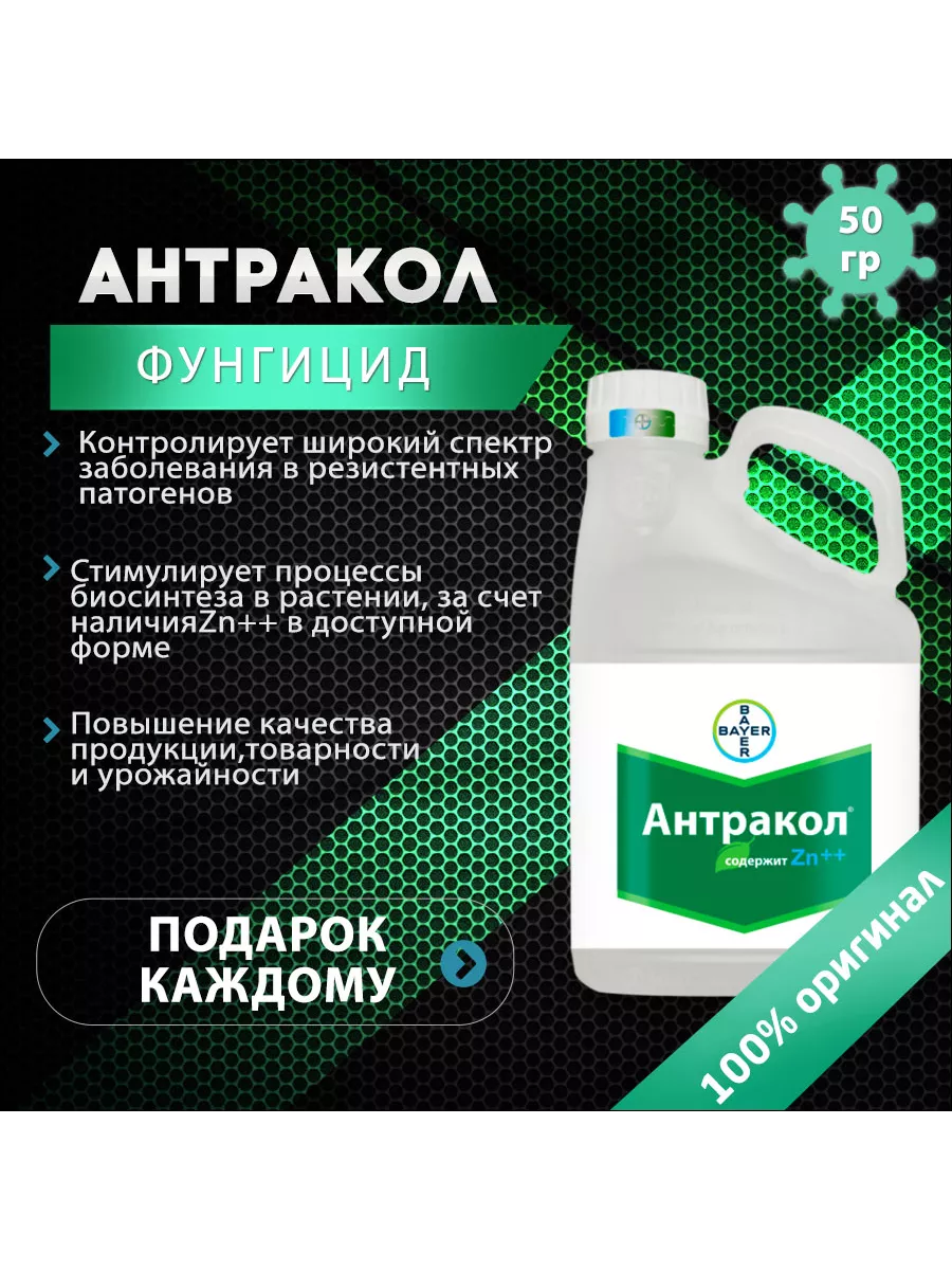 Фунгицид Антракол 50 Bayer 205730864 купить за 272 ₽ в интернет-магазине  Wildberries