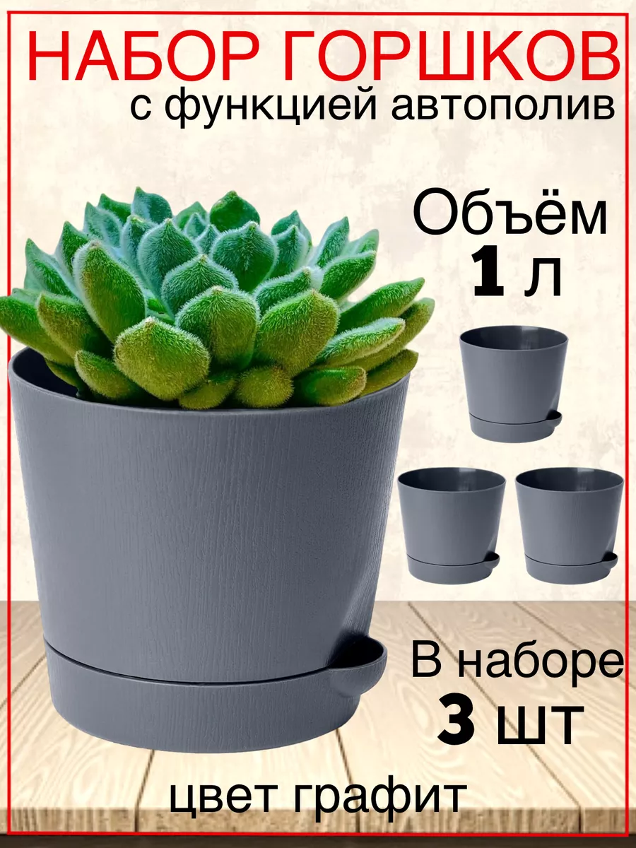 Кашпо для суккулентов горшок для кактуса фиалок 1 л