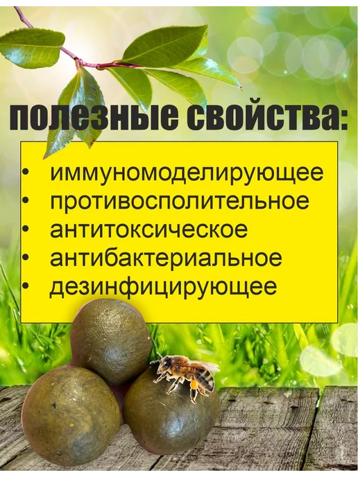 Частная пасека Гордюшкина Е.С. Прополис натуральный пчелиный 50 гр 2026 г, 50 г, 2026 г, фото 3