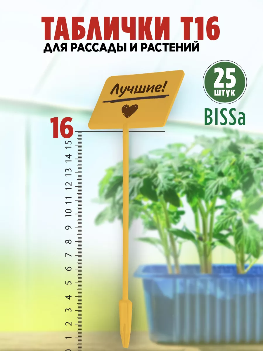 Купить Садовую Рассаду