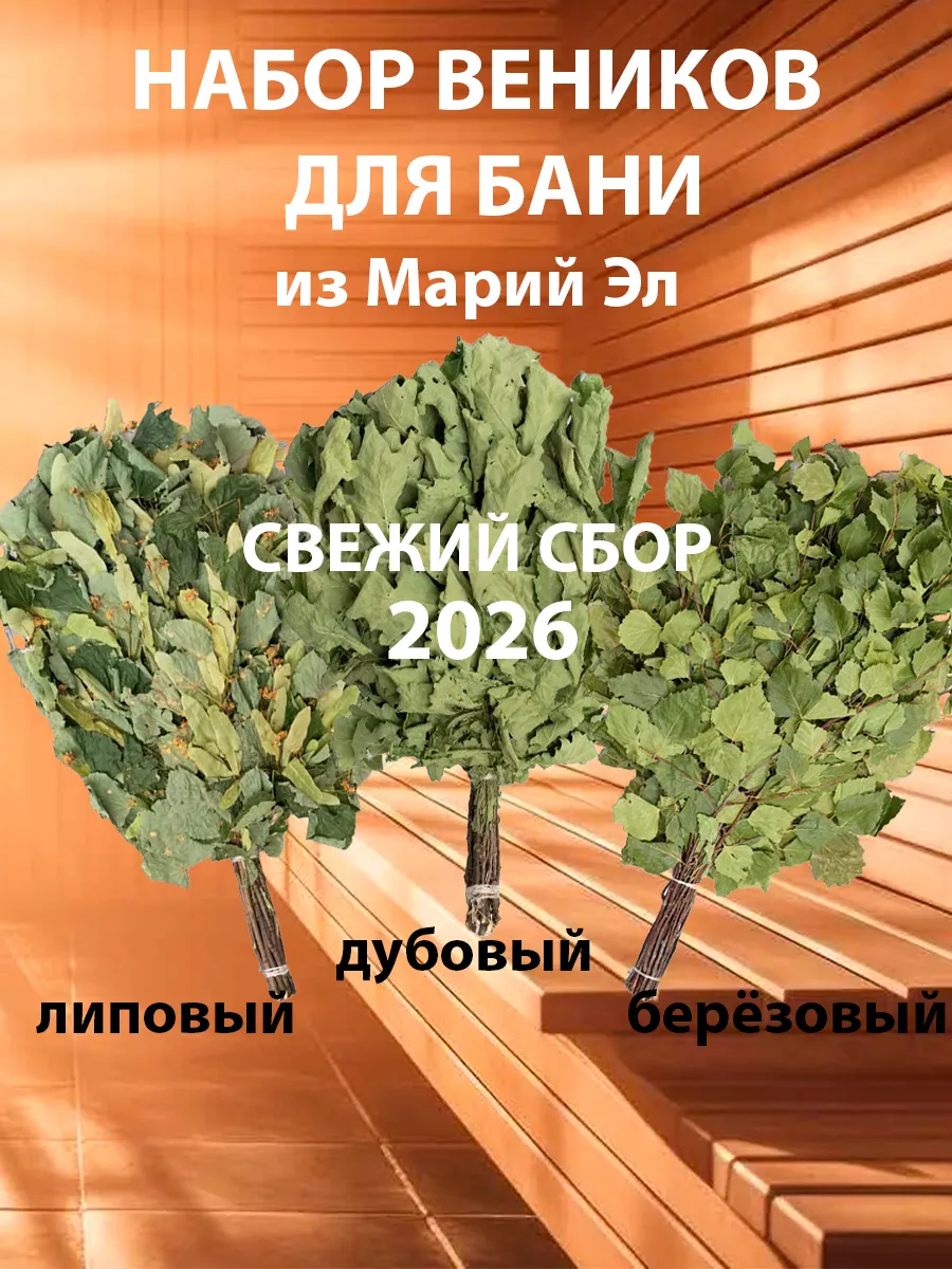 Веники для бани, береза дуб и липа сбор 2026