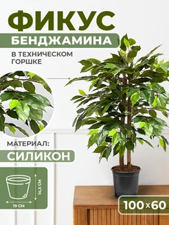 Фикус бенджамина Mriya Fleur 205800498 купить за 2 720 ₽ в интернет-магазине Wildberries