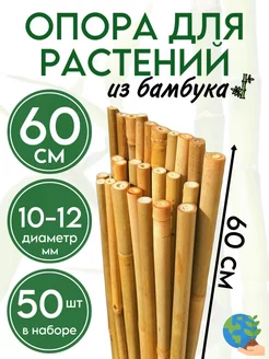 Опора для растений и цветов колышки бамбук 60 см, 50 шт БАМБУК ОПОРЫЧ 205832713 купить за 1 032 ₽ в интернет-магазине Wildberries