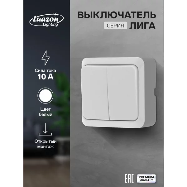 Выключатель «Лига», 10 А, 2 клавиши, накладной