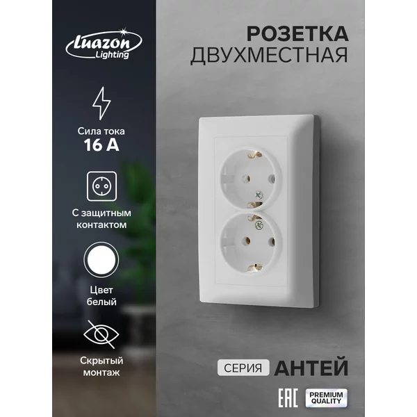Розетка двухместная встраиваемая с заземлением