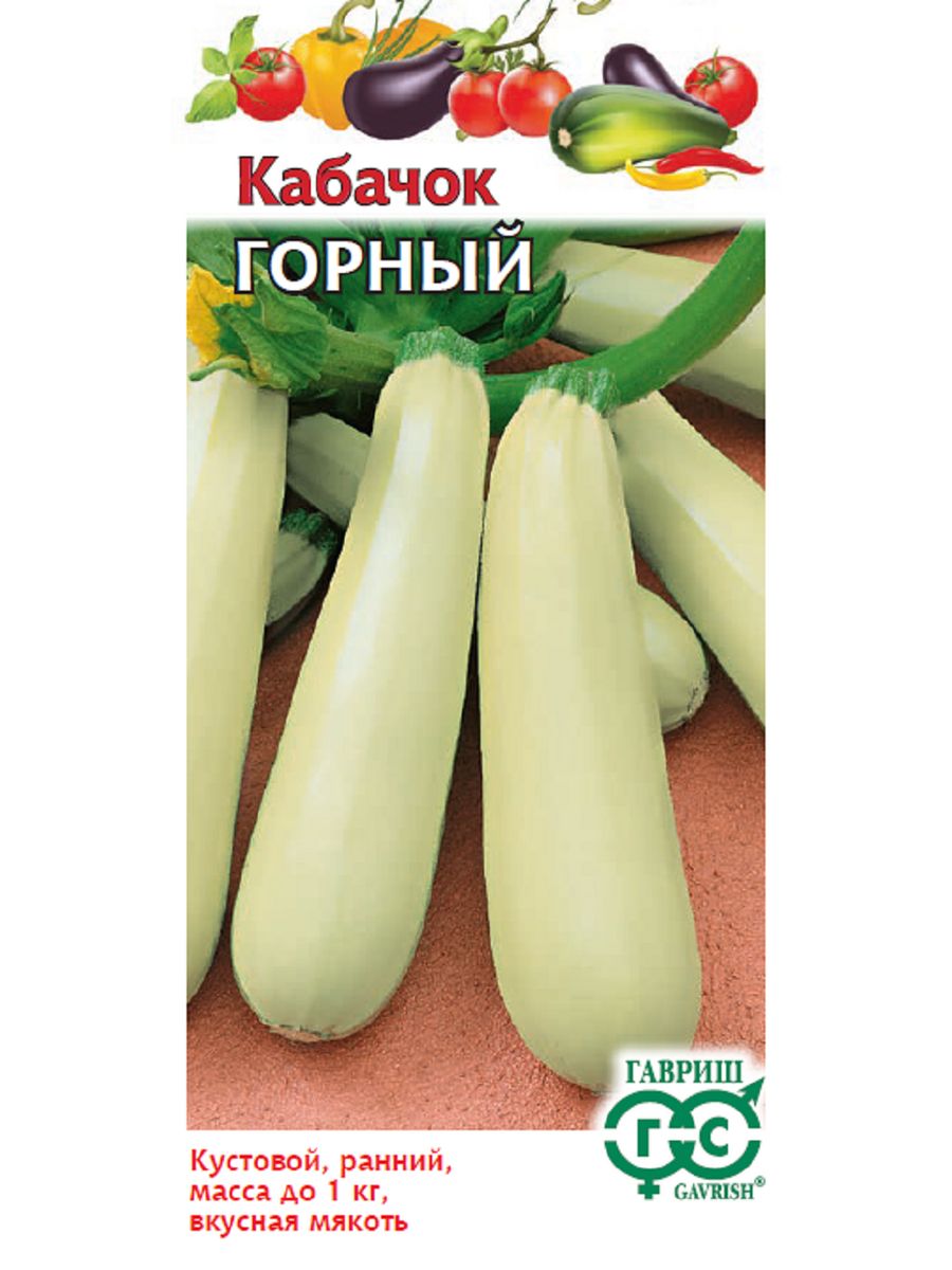 Кабачок горный