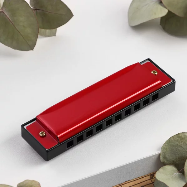 Губная гармошка DF10A Red