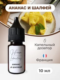 отдушка для свечей Warm Laboratory 205943875 купить за 176 ₽ в интернет-магазине Wildberries