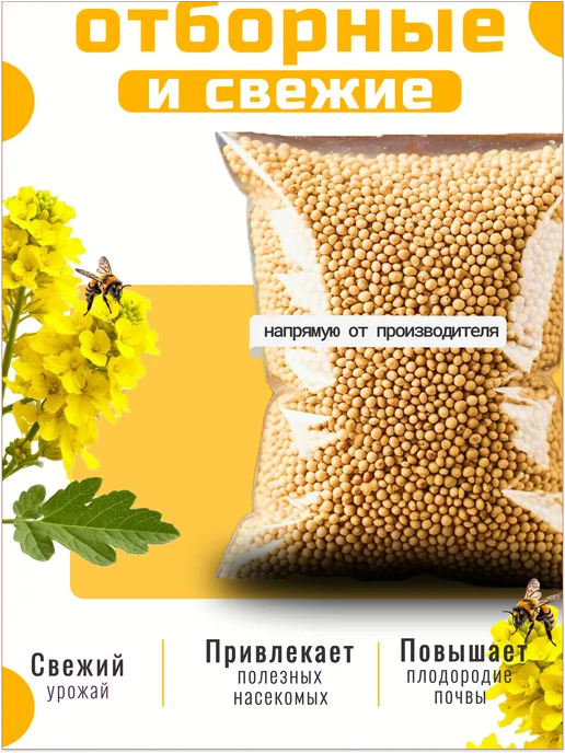 БЕРИМИР Горчица белая - семена 5 кг, 5 кг, фото 2