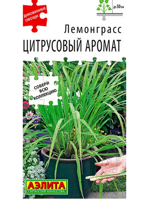 Аэлита Агрофирма Семена Лемонграсс Цитрусовый Аромат, зеленый