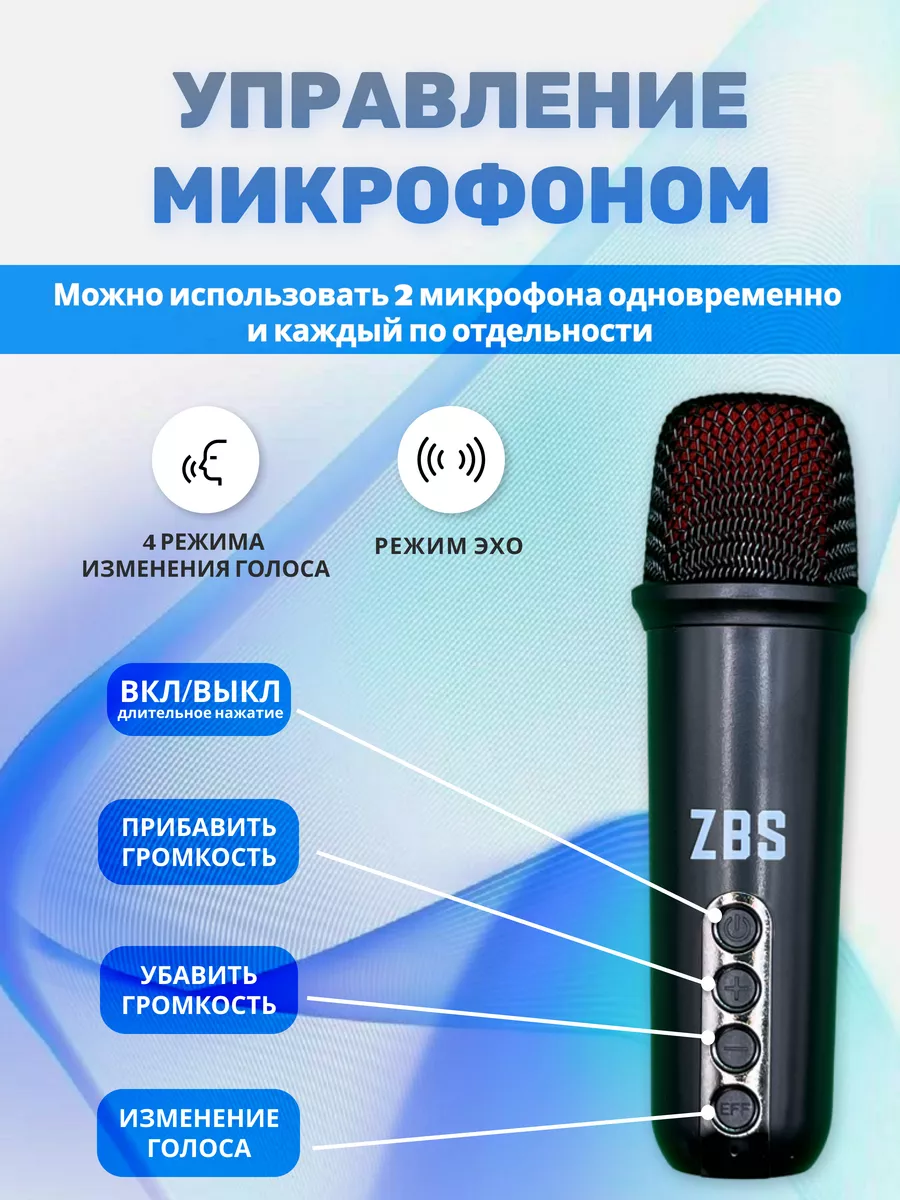 Караоке система 2 микрофона беспроводная ZBS 206017288 купить за 3 051 ₽ в  интернет-магазине Wildberries