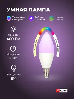 Умная лампочка EKF Connect 5W WIFI RGBW E14 EKF 206058745 купить за 549 ₽ в интернет-магазине Wildberries