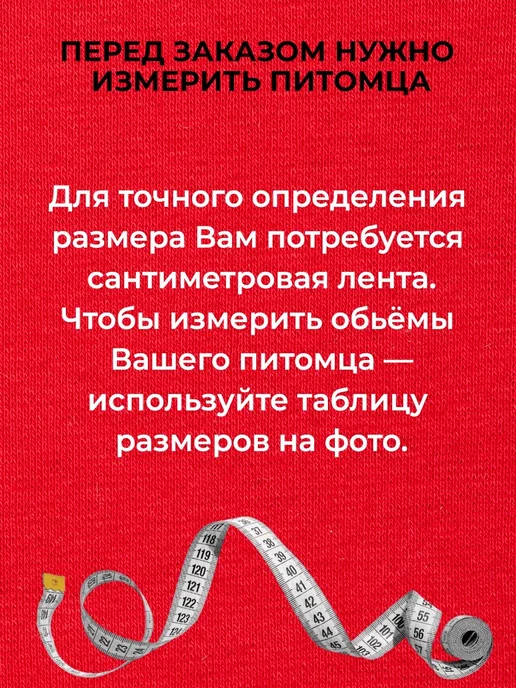 chekalan anna Одежда для кошек сфинкс и собак мелких пород, серый, фото 3