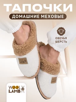 Тапочки домашние из овечьей шерсти закрытые Woollamb 206300967 купить за 1 552 ₽ в интернет-магазине Wildberries