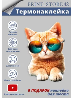 Термонаклейка на одежду Рыжий кот PRINT_STORE42 206318333 купить за 210 ₽ в интернет-магазине Wildberries