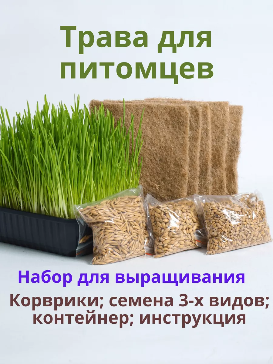 Трава для кошек. Набор для...